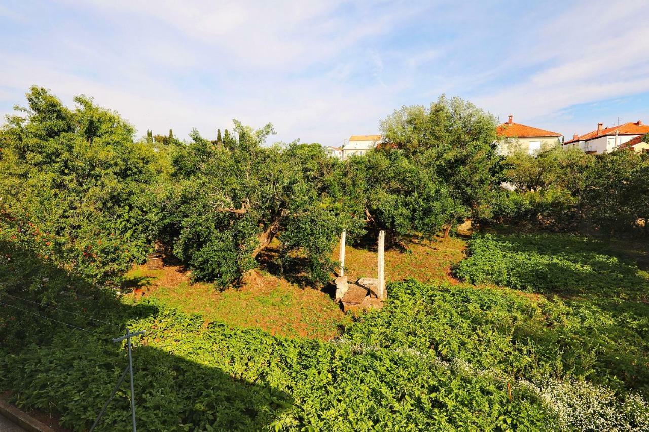 Senkini Dvori Apartment Sutomiscica Bagian luar foto